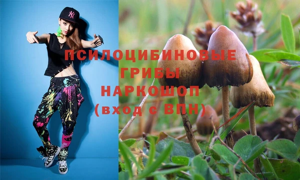 бошки Кулебаки