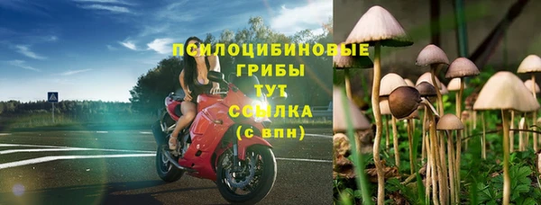 стафф Кукмор